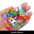 Acrylic Charms
