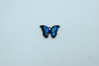 Blue And Black Shaded Butterfly Enamel Charm (10 Pcs)