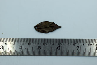 Beautiful Leaf Black Metal Charm (10 Pc)