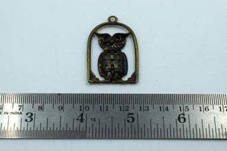 Owl In Cage Black Metal Charm (10 Pc)